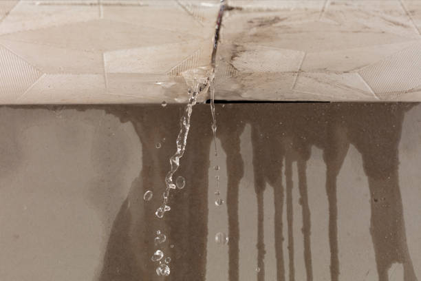 Professional Water Damage Repair technician working in Frankfort, IN